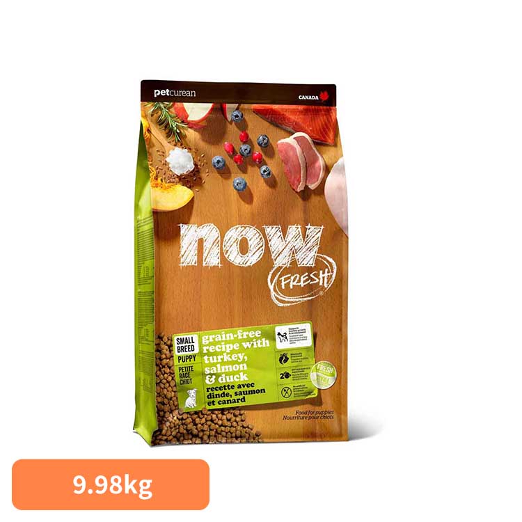 ドッグフード ナウ生新しい 犬 グレインフリー スモールブリードパピー 9.98kg 大収容能力 食用粉無償性 超素粒子 犬用 組み入れる栄養分食 人工保護すること料 人工芳ばしさ 染めつける料 無足し加える 素っ気ない 犬上げ米 愛玩動物 ドックボンネット ペットキュリアン *