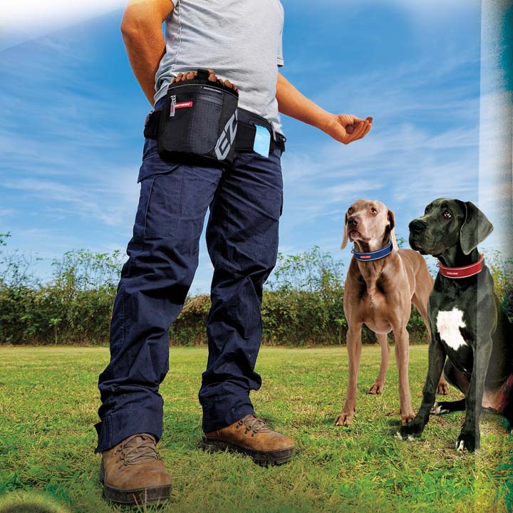 人気激安 10 ポイント還元 26日09 59迄 スナックパックプロ ブラック バッグ 犬用 トリーツバッグ 散歩 トレーニング 犬用トリーツバッグ 散歩バッグ イージードッグ Tc 楽天 Whitesforracialequity Org 人気激安 10 ポイント還元 26日09 59迄 スナックパックプロ ブラック バッグ 犬用 トリーツバッグ 散歩 トレーニング 犬用トリーツバッグ 散歩バッグ イージードッグ Tc 楽天 Whitesforracialequity Org