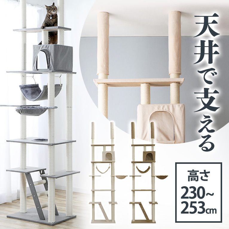 キャットタワー 突っ張り か細い 大型猫 今めかしい 省空白文字 猫円柱 猫備品 爪とぎ 多頭飼い 子ネコ 年がしら つめとぎ 緊迫状態切り上げる 運動すること不完全さ 高さ230～253糎 CCCT-4060T【AR相応う】
