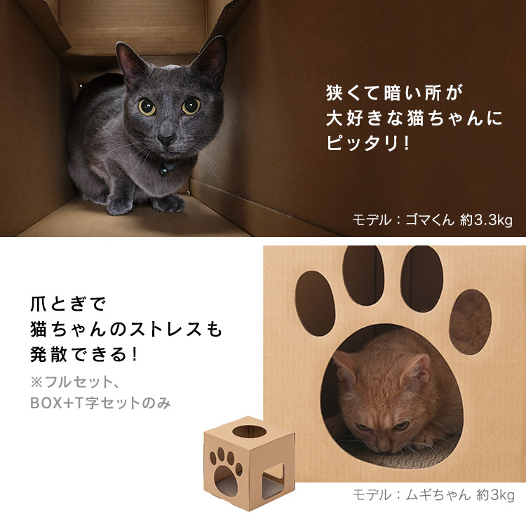猫 トンネル おもちゃ 遊び場 ねこねこトンネル P-NT 全3種 キャットトンネル 猫 ねこ ネコ トンネル 猫用 ペット用 キャットハウス  ダンボール 段ボール 遊び場 おもちゃ 要組立 アイリスオーヤマ 猫用品 | senormontana.com.br