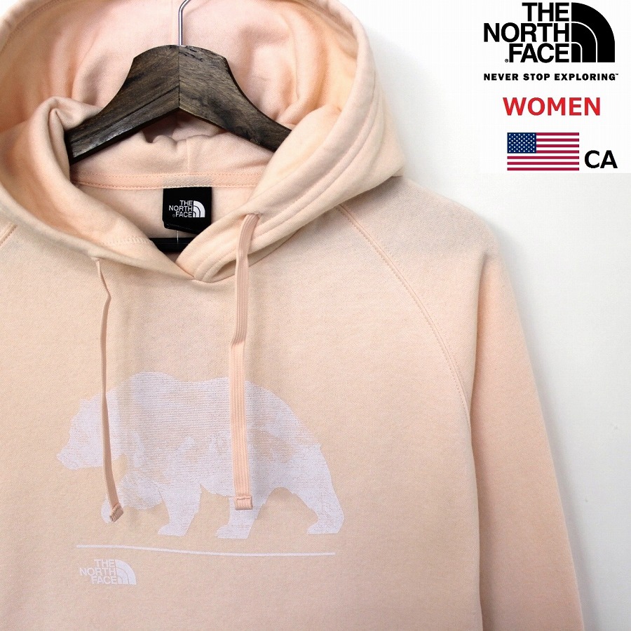 the north face bearscape hoodie