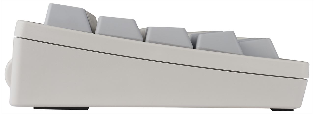 Hhkb Professional Hybrid Type S 無刻印 白 英語配列 Sandjfisheries Co Uk