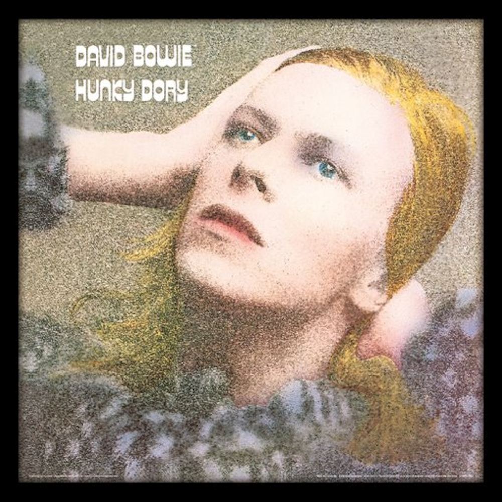 デビットボーイ(David Bowie)インテリア額 デビットボーイ(David Bowie)インテリア額