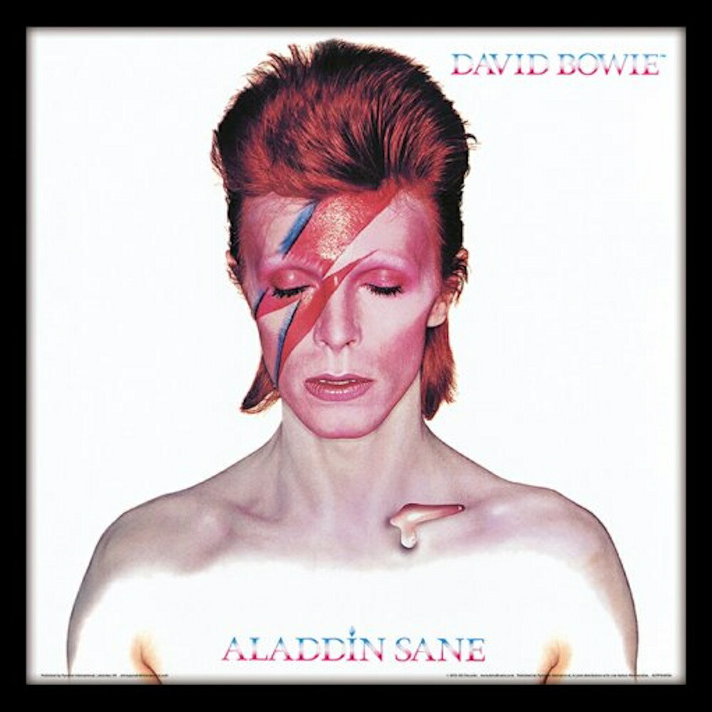 デビットボーイ(David Bowie)インテリア額 デビットボーイ(David Bowie)インテリア額