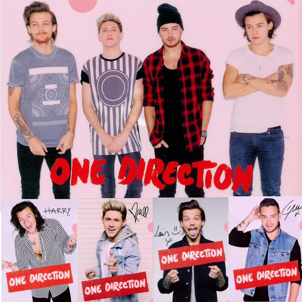 楽天市場】ONE DIRECTION ワンダイレクション (結成 15周年