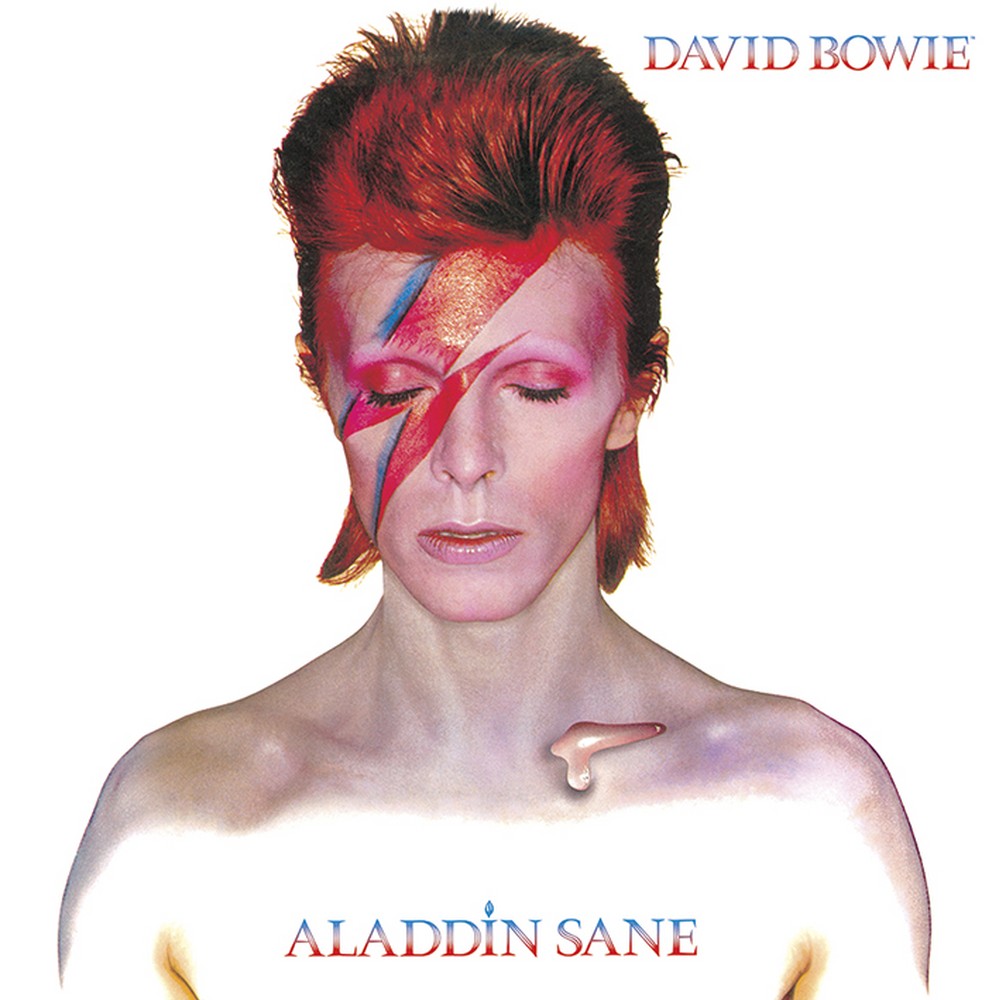 デビットボーイ(David Bowie)インテリア額 デビットボーイ(David Bowie)インテリア額 アート用品