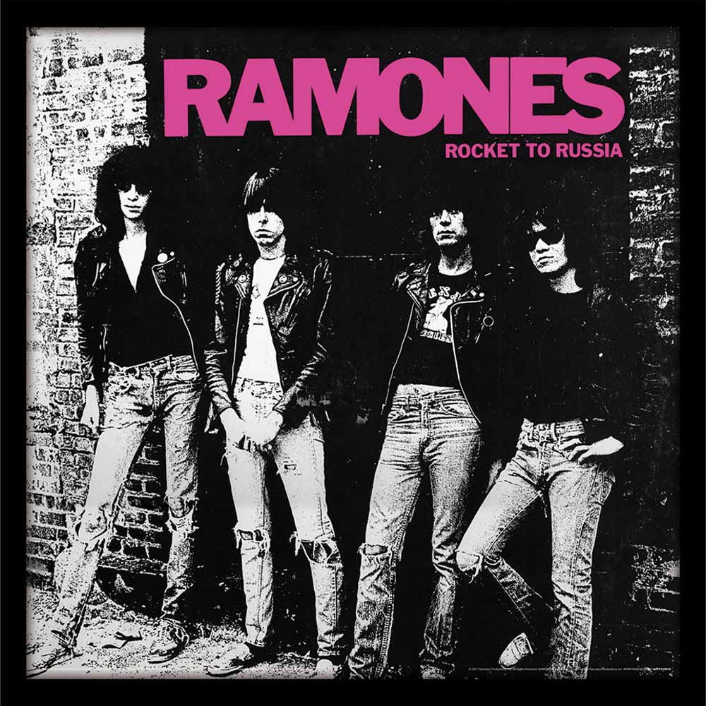 希少廃盤美品！額装済み ラモーンズ A1サイズ ポスター RAMONES ラモーンズ/ジャケ・ポスター 額付/Rock'n' Roll Radio/The