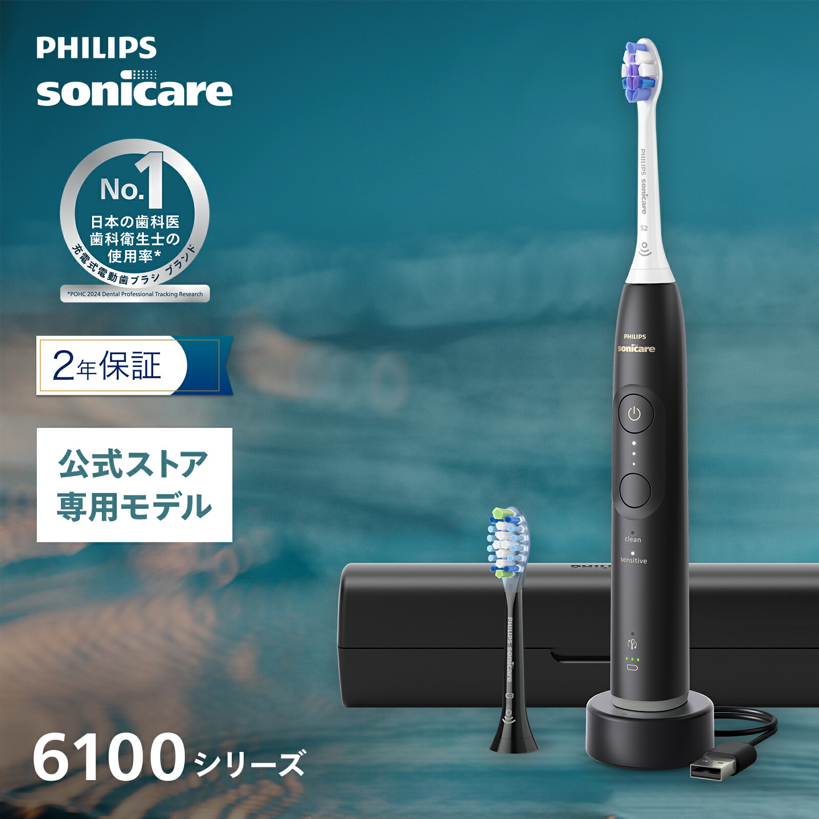 パナソニック 電動歯ブラシ ドルツ ハイグレードモデル W音波振動 黒 Doltz パナソニック 電動歯ブラシ ドルツ ハイグレードモデル W音波