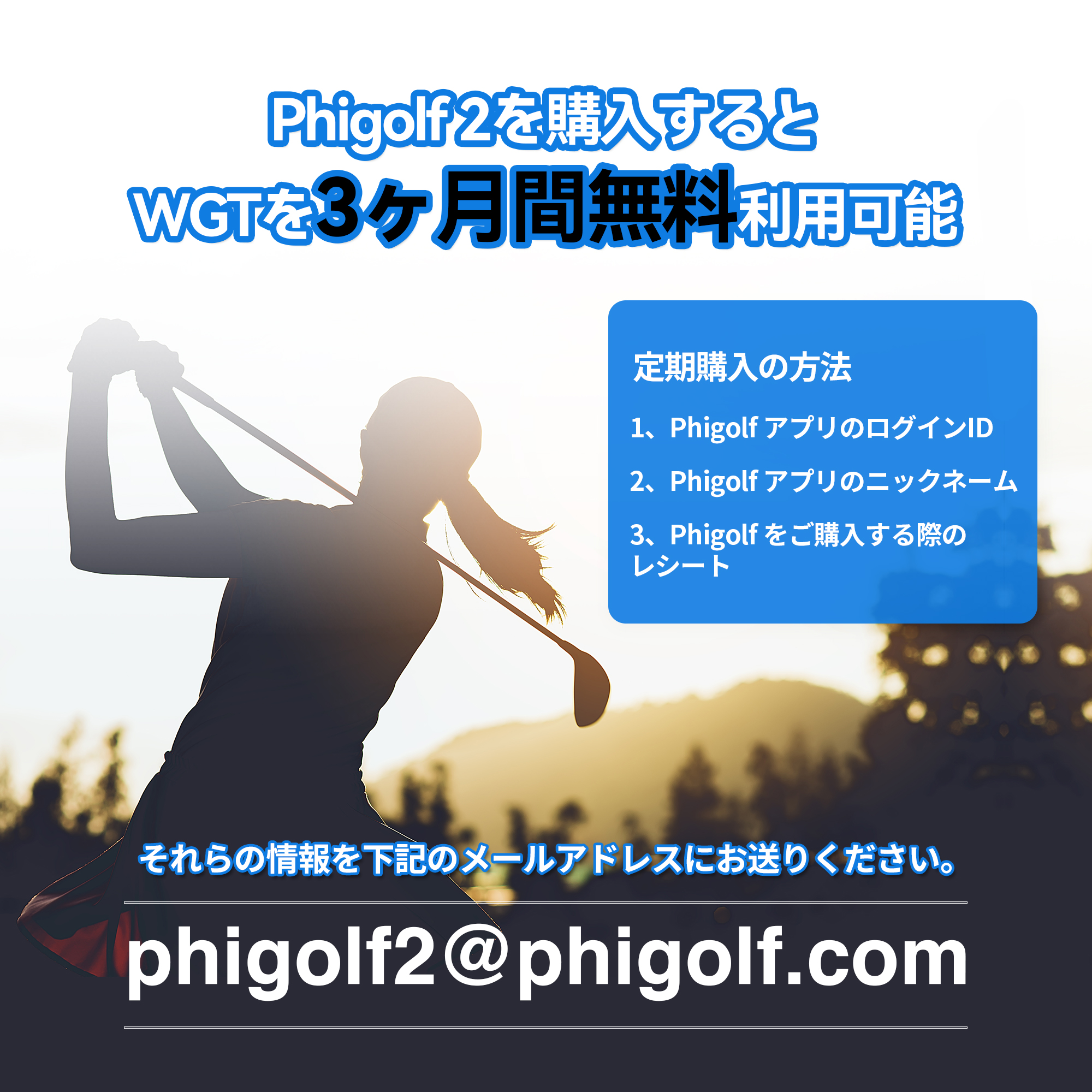 Phigolf 2(ファイゴルフ2)ゴルフ練習器具 スイング練習器 家庭用ゴルフ
