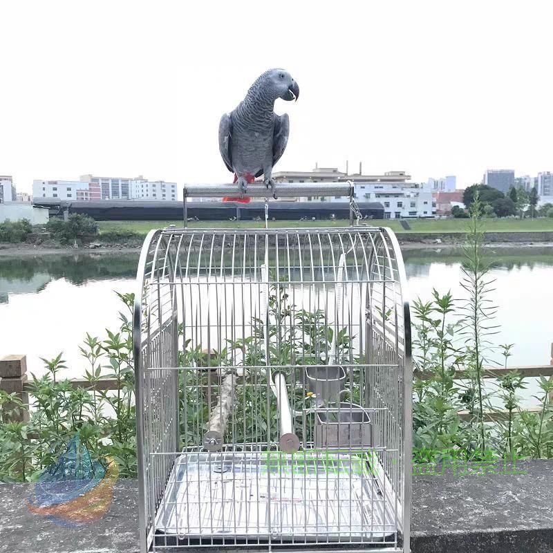 【期間限定1000円OFFクーポン】バードキャリア 錬鉄の鳥のキャリアのオウムの鳥のケージのステンレス鋼の通気性の高い旅行ケージゾンチーペット用品 Color A 室内用 お手入れ簡単 快適｜フィービー 15,389円