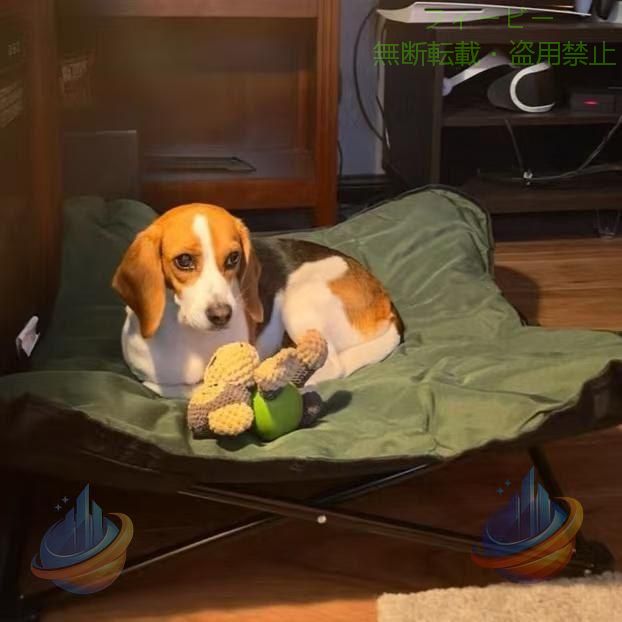 犬寝台 コット 60kg耐荷重 ドッグコット 夏 愛玩動物寝台 ペットコットゾンチーキャンプ 寝台 脚付き添い人 地びたから離れ 折りたたみ 犬用 夏用 愛玩動物装具