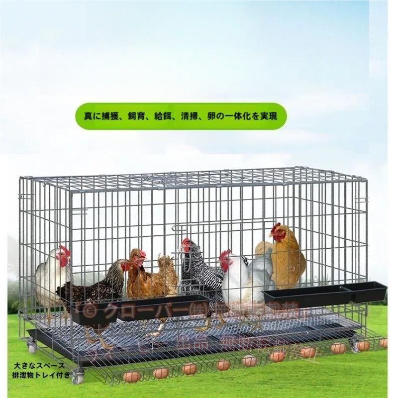 【期間限定1500円OFFクーポン】鶏小屋チキンケージ飼育ケ ージ特大世帯折りたたみ鶏 小屋自動エッグロールケーゾンチージトレー 水槽 フードボウル付き複数のサイズ 省スペース 整理整頓|フィービー