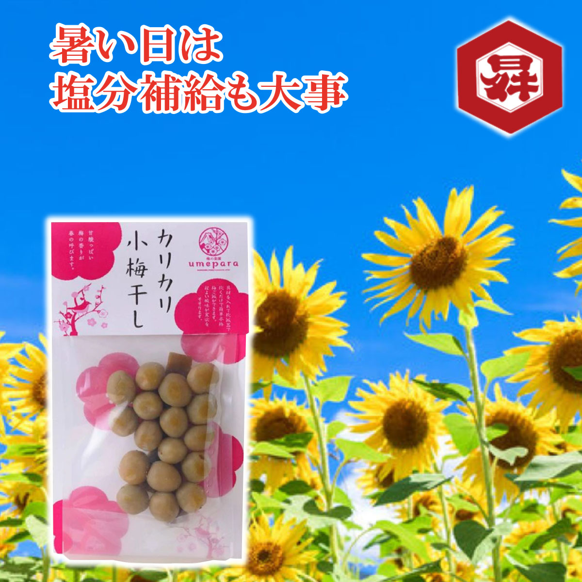 山梨県産甲州小梅２０キロ　sun 小梅｜和歌山の小梅｜紀州産小梅
