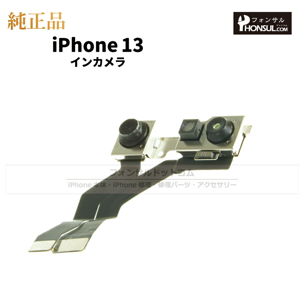 13_icm_1.jpg