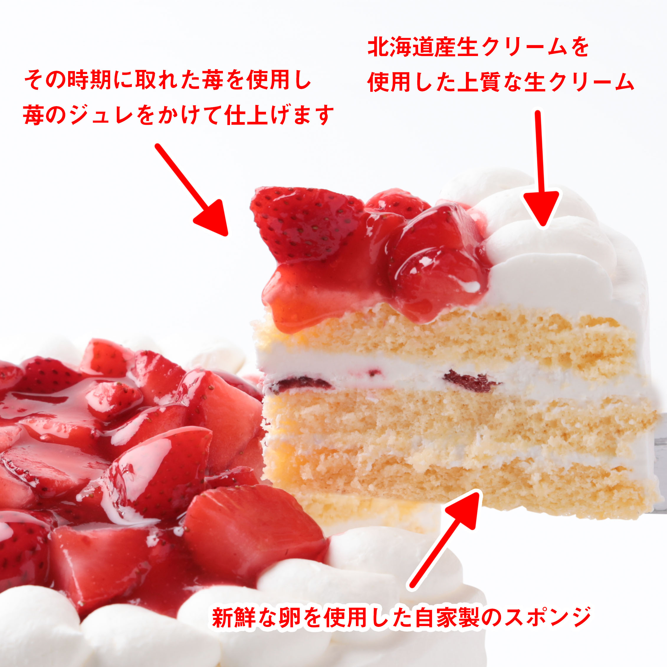 いちご生バースデーケーキ ８号24センチ 誕生日ケーキ 12 15名様分 結婚 ウェディングケーキ