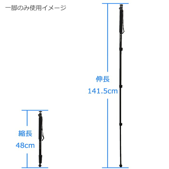 市場 ふるさと納税 西陣屋 九条ねぎ専門 たっぷり 京都産 新鮮 九条ねぎ 4kg《京都ブランド 葱》※離島への配送不可 九条ネギ 京野菜