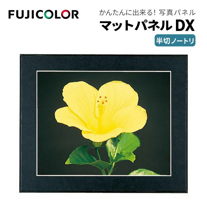 楽天市場】【ポイント10倍】FUJICOLOR［フジカラー］額縁 マット
