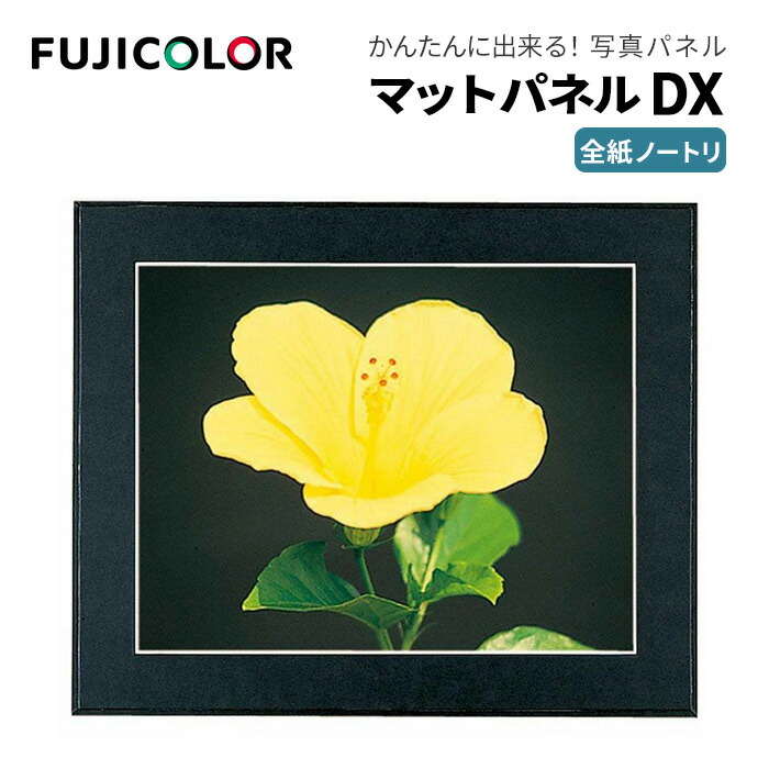 楽天市場】写真パネル 写真全紙サイズ用（560×457mm）小（外寸：730