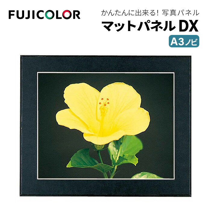 FUJICOLOR［フジカラー］額縁 マットパネル DX A3ノビ 木製 ブラック