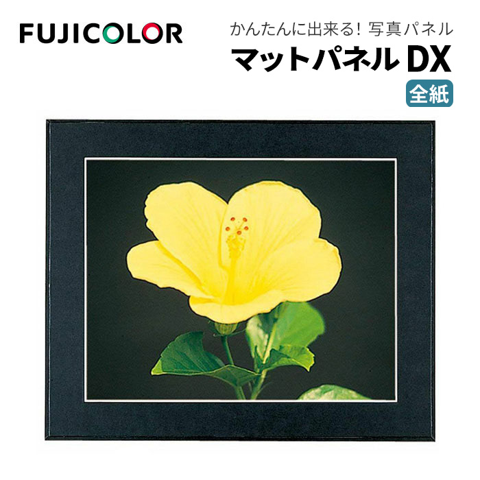 楽天市場】写真パネル 写真全紙サイズ用（560×457mm）普通（外寸：750