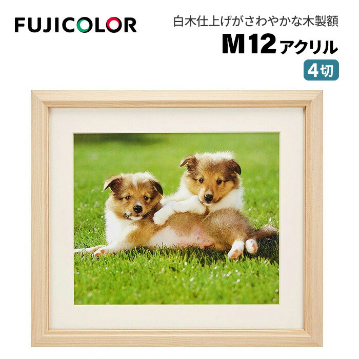 楽天市場】受発注商品 フジカラー 木製額 M12 アクリル 六切 木地 6切