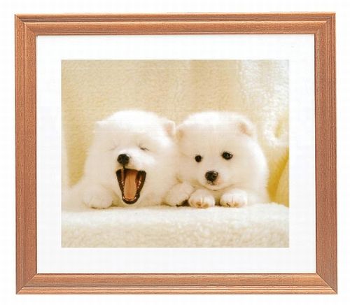 FUJIFILM写真展示用フレーム 全紙２ 　全紙3枚組２　 半切２　4切 FUJIFILM お取り寄せ フジカラー 高級 おしゃれ 壁掛け 額縁