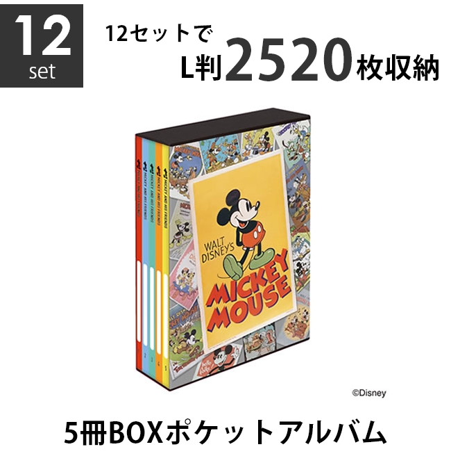 楽天市場】【楽天ランキング1位獲得】ナカバヤシ 5冊BOXポケット