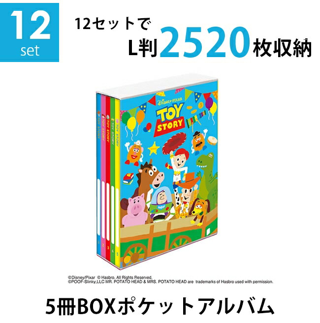 リーメント　ディズニー　6個セット 楽天市場】【送料無料】【2種類まとめ買いセット】ナカバヤシ 5冊BOX