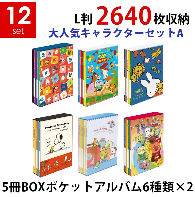 おしゃれ】 ナカバヤシ ポケットアルバム 5冊BOX econet.bi