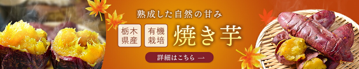 草退治 桃子 FT-1230 12L 除草剤専用散布機 みのる産業 : グラン