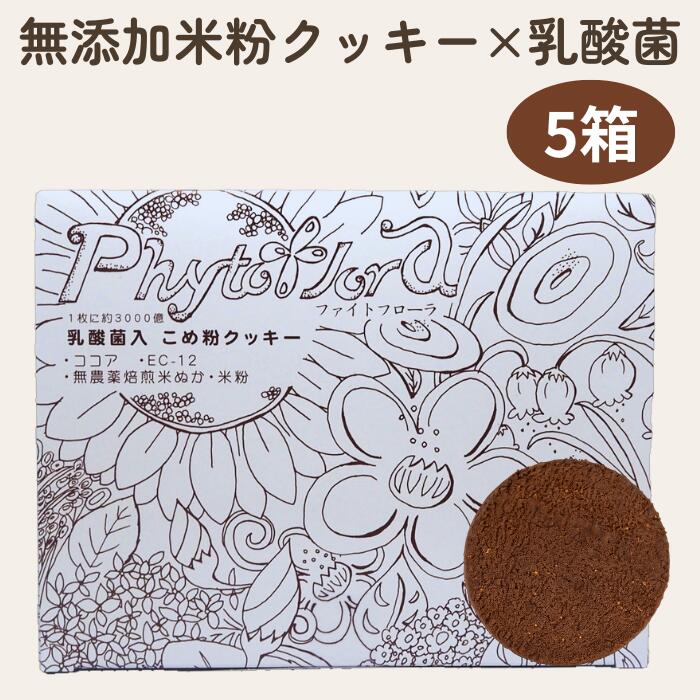 ビスケット乳酸菌 30枚 / 5箱 腸活 米粉 有機作りだす  気どらずに作りだす 鹿児島県霧島市 宮崎県産 熊本県産 無加えること クリスマス島の海の塩 ふるさと納税 3000億個 腸内植物相 腸内周囲の状況 戦うことケミカル ポリ石炭酸