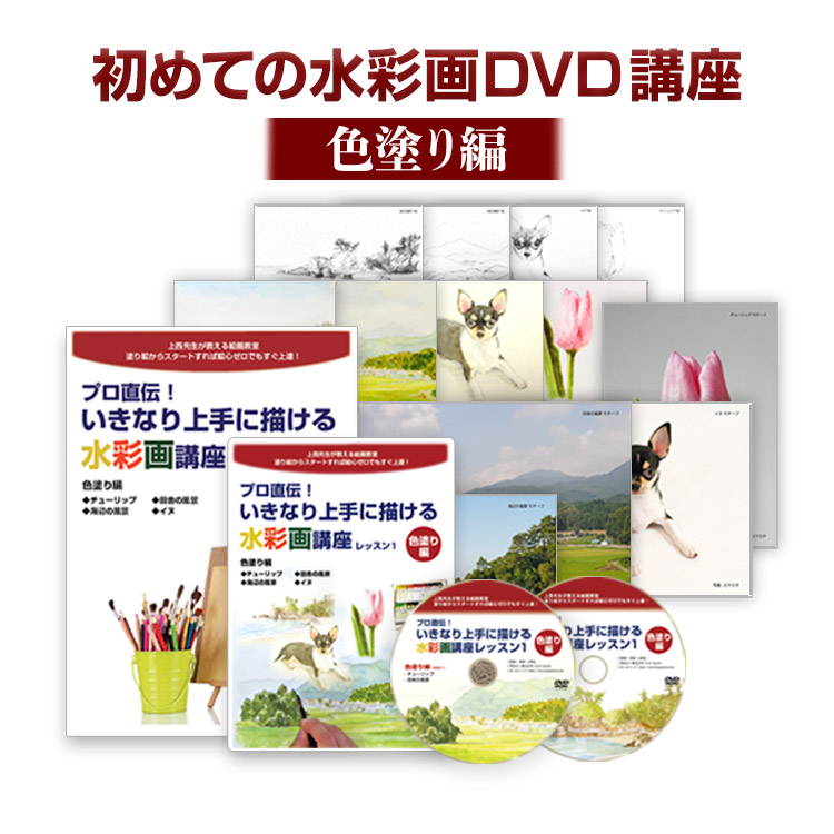 楽天市場 水彩画講座色塗り編 プロ直伝 いきなり上手に描ける水彩画講座 色塗り編 Good Appeal