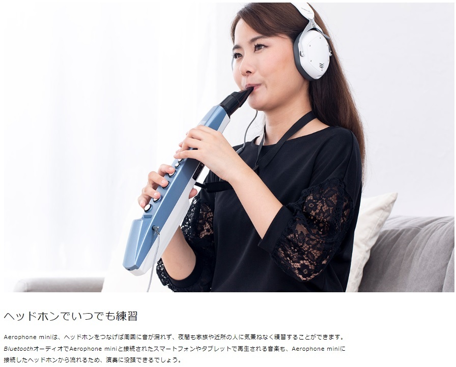 短納期対応 ミニ Roland mini Aerophone AE-01 Roland エアロフォン