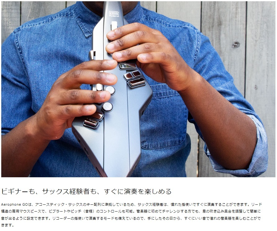 Roland ローランド Digital Wind Instrument デジタル管楽器 専用