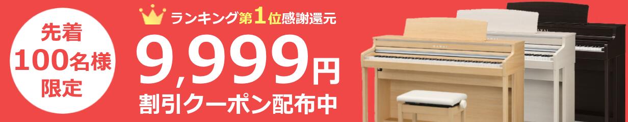 楽天市場】【あす楽対応】Roland ローランド ノイズ イーター NE-10