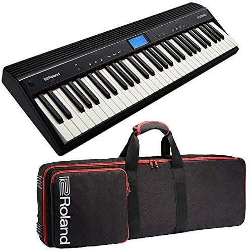 楽天市場】ローランド キーボード JUSTY HK-100/Roland 【X型