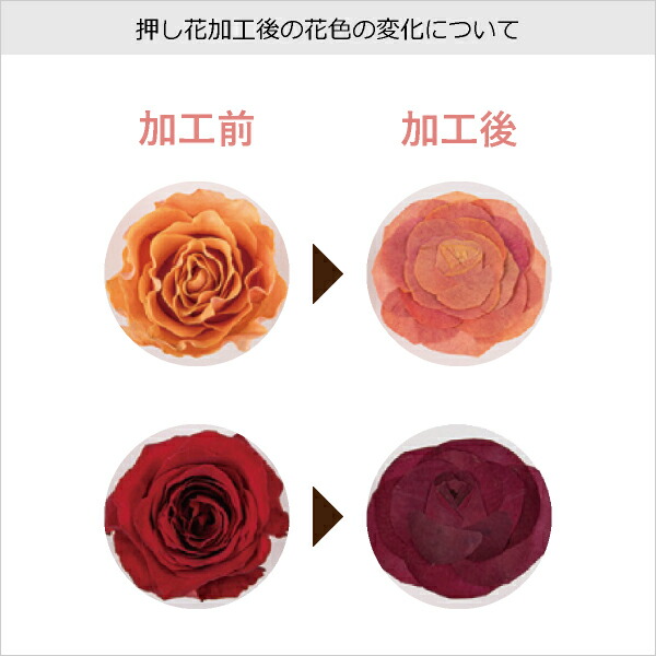 【押し花ブーケ・レカンブーケ】【送料無料】押し花ブーケロマンティックホワイトS(結婚式ウェディング披露宴ウェルカムスペースブライダルパーティー二次会ブーケ押し花)