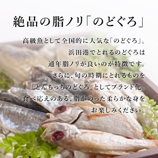 楽天市場 送料無料 島根県支援 のどぐろ干物セット 160 0g 3枚 冬ギフト21海産物 夏ギフト おこもり 巣ごもり おうち時間 食品ギフト自分買い おうちグルメ島根県 島根土産 手作り 人気 干物 のどぐろ 送料無料 Piary ピアリー 楽天市場店