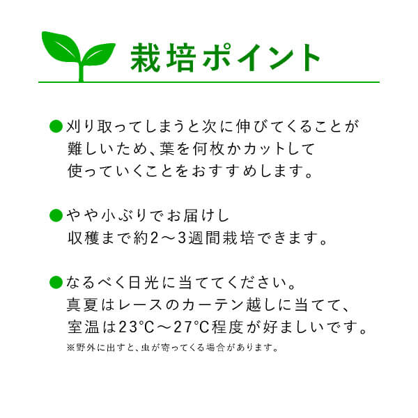 楽天市場 送料無料 テーブル菜園 レタス 大葉 栄養剤4本 おこもり 巣ごもり おうち時間 菜園 家庭菜園 水耕栽培キット 野菜 レタス 大葉 プランター栽培 初心者 家庭菜園セット 栄養剤付 室内 Piary ピアリー 楽天市場店