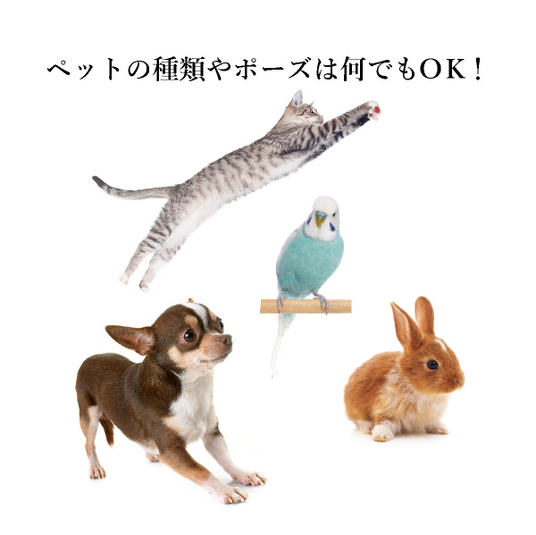 【楽天市場】オーダーメイドクッション（シルエット）(ギフト プレゼント ペット 犬 猫 オーダーメイド 写真入り メモリアル オリジナル
