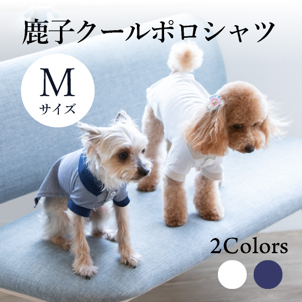 送料無料 メール便 鹿子クールポロシャツ Mサイズ Seee リード 紐 犬服 犬 服 犬の服 ドッグウェア 犬服 夏服 春夏 夏 おしゃれ 可愛い 女の子 男の子 トイプードル チワワ ダックス 柴犬 洋服 ペット用衛生用品 ペットフード ペットドリンク うちのペット ペット用品