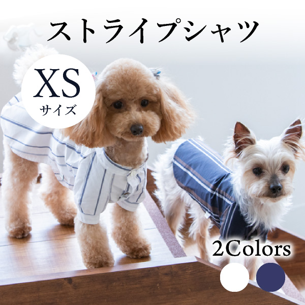 送料無料 メール便 ストライプシャツ Xsサイズ Seee リード 紐 犬服 犬 服 犬の服 ドッグウェア 犬服 夏服 春夏 夏 おしゃれ 可愛い 女の子 男の子 トイプードル チワワ ダックス 柴犬 洋服 ペット用衛生用品 ペットフード ペットドリンク うちのペット ペット用品 競合