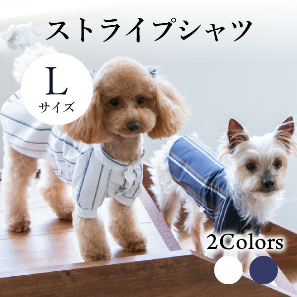 新規購入 楽天市場 送料無料 メール便 ストライプシャツ Lサイズ Seee リード 紐 犬服 犬 服 犬の服 ドッグウェア 犬服 夏服 春夏 夏 おしゃれ 可愛い 女の子 男の子 トイプードル チワワ ダックス 柴犬 洋服 Piary ピアリー 楽天市場店 海外正規品 Www