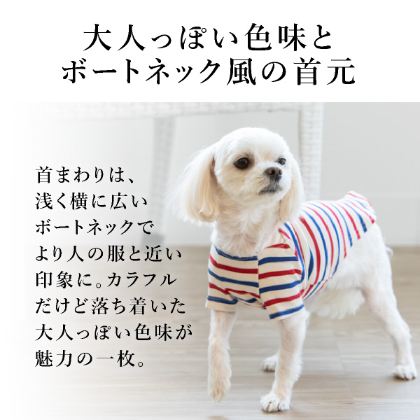 送料無料 メール便 ボートネックボーダー Sサイズ Seee リード 紐 犬服 犬 服 犬の服 ドッグウェア 犬服 夏服 春夏 夏 おしゃれ 可愛い 女の子 男の子 トイプードル チワワ ダックス 柴犬 洋服 Kanal9tv Com