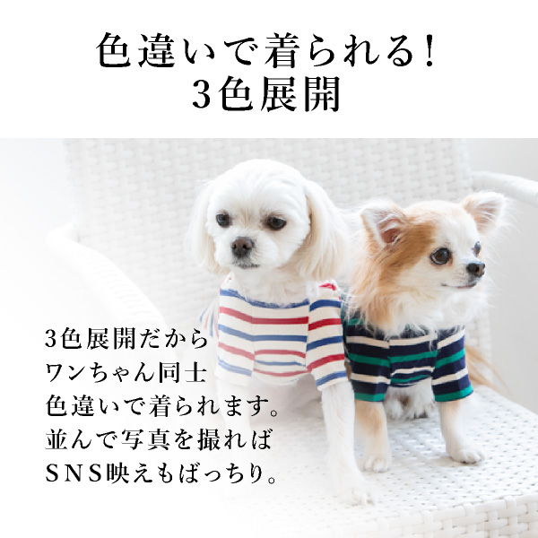 送料無料 メール便 ボートネックボーダー Lサイズ Seee リード 紐 犬服 犬 服 犬の服 ドッグウェア 犬服 夏服 春夏 夏 おしゃれ 可愛い 女の子 男の子 トイプードル チワワ ダックス 柴犬 洋服 Napierprison Com