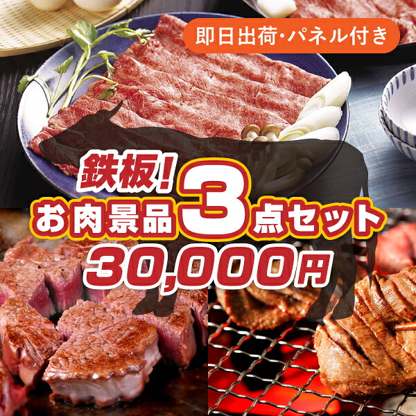 30,000円で肉景品3点まとめ買いセット忘年会 新年会 ビンゴ 結婚式 披露宴 2次会 イベント 目玉景品 グルメ 肉 高級肉 ギフト 送料無料 当選者が選べる ドレス当て クイズ 抽選 豪華 グルメ ブランド牛 食べ比べ 飛騨牛 牛たん パネル｜PIARY（ピアリー）店