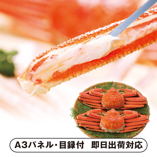 【送料無料】ボイルずわいがに姿2尾 A【パネル・目録付】 (景品 二次会 披露宴 結婚式 余興 忘年会 新年会 抽選会 社内イベント 運動会 ゴルフ コンペ ビンゴ クイズ 幹事 目録 パネル 盛り上がる 人気 話題 おすすめ)