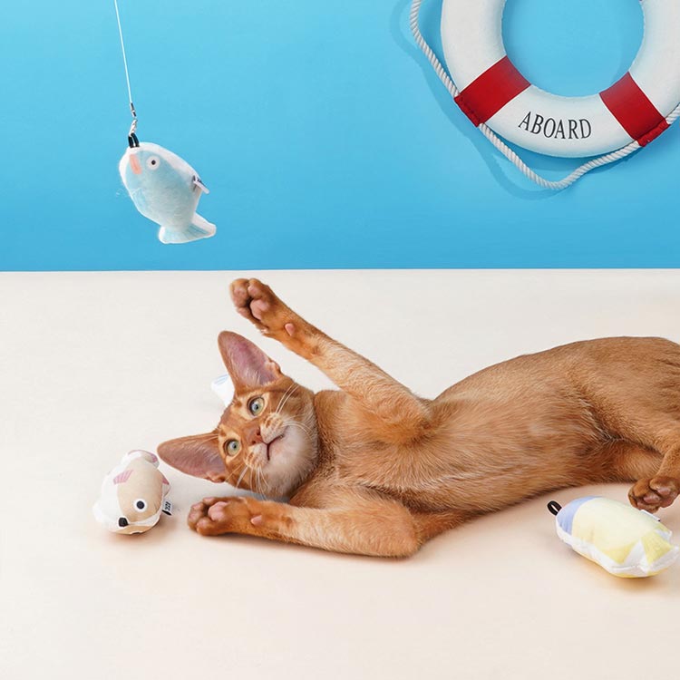 猫おもちゃ 猫じゃらし 10点セット 羽 ネズミ 魚 ねこじゃらし ネコじゃらし 猫用品 運動不足解消 高質 猫おもちゃ 猫じゃらし 10点セット 羽 ネズミ 魚 ねこじゃらし ネコじゃらし 猫用品 運動不足解消 高質