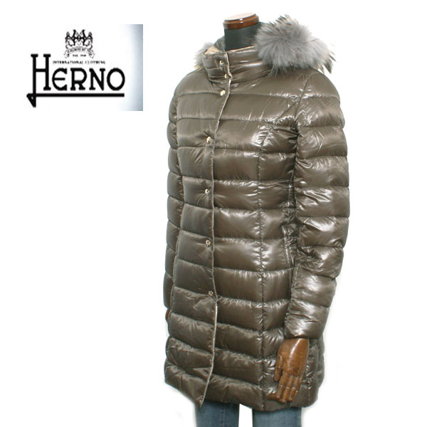 HERNO ヘルノ ELISA エリサ ダウンコート ファー付　40サイズ imgrc0103868588.jpg