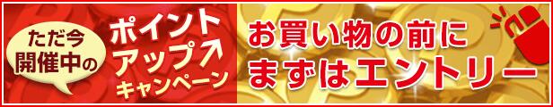 【楽天市場】開催中のポイントアップキャンペーン：ピック商店